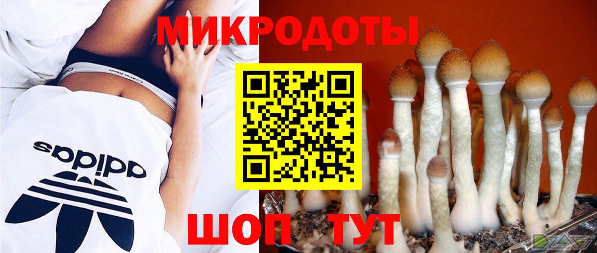 Галлюциногенные грибы прущие грибы Оренбург
